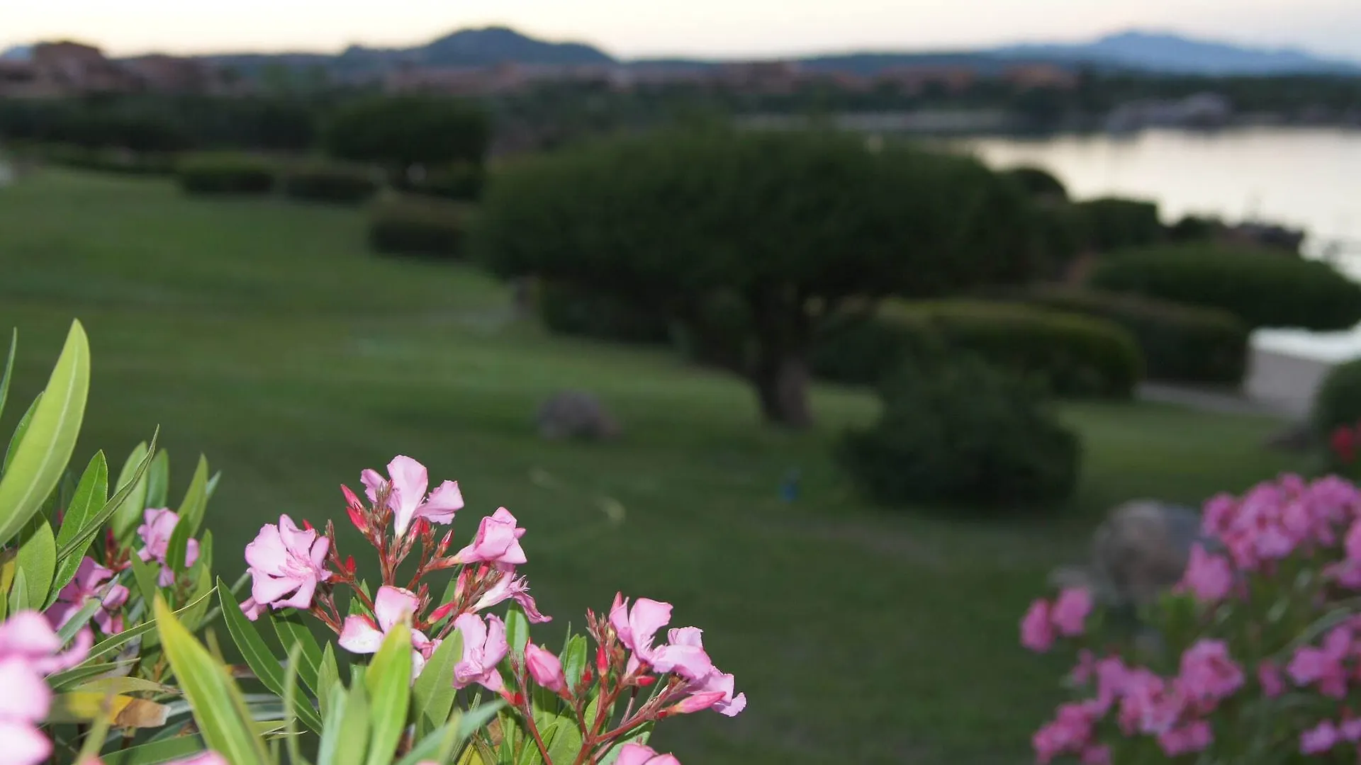 Residence Marineledda & Vela Blu Golfo Aranci